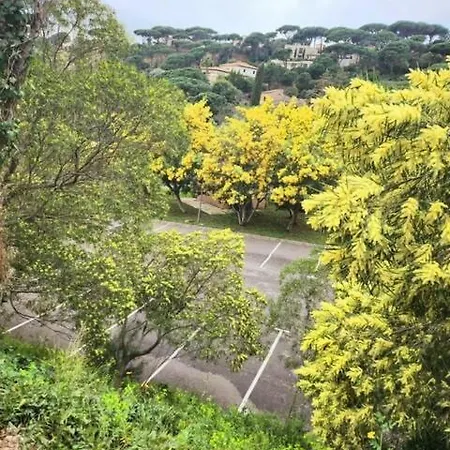 Terrasse Vue Apartment *