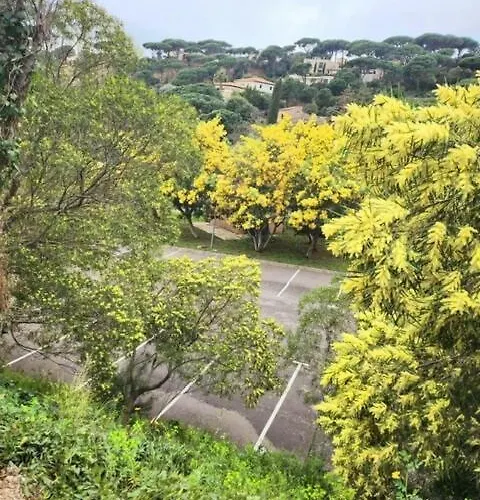 Terrasse Vue Apartament *